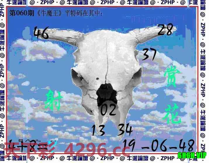 牛派牛魔报